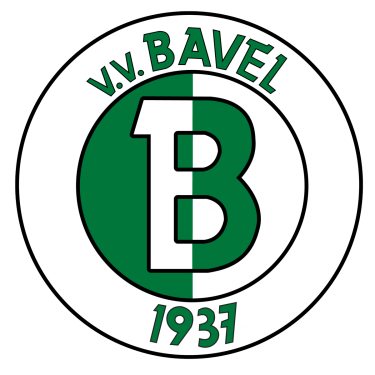V.V. Bavel